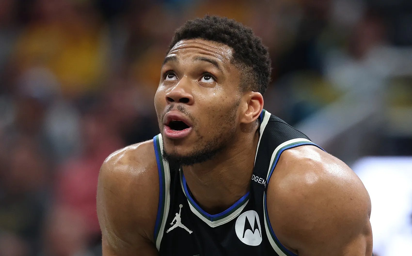 字母哥新星夺冠表现突出，瑞士队前途光明！比赛高潮迭起的简单介绍